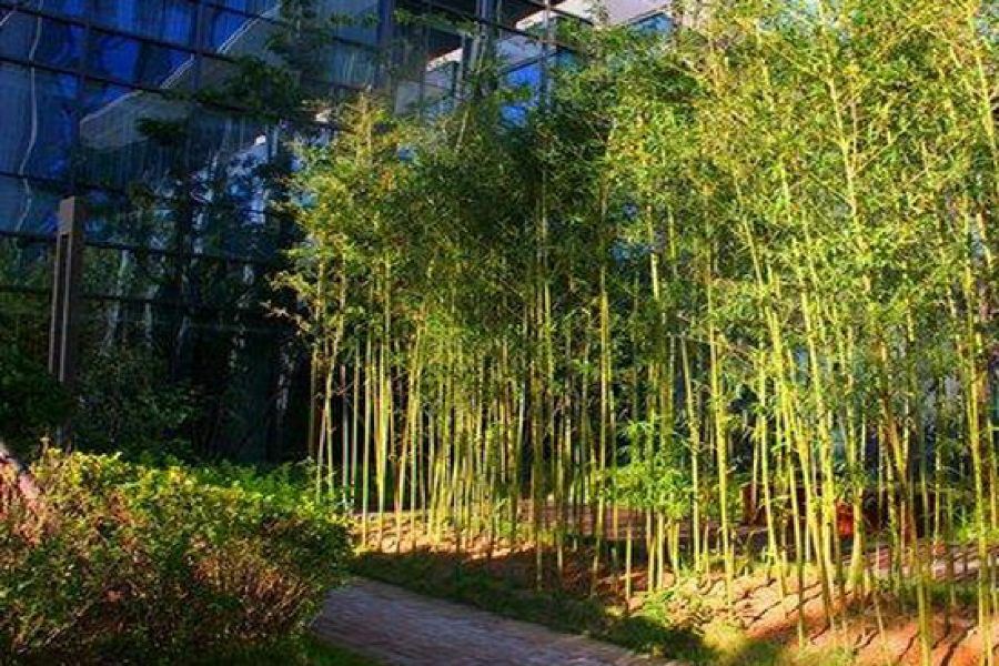 Zhongjian Yanqi Lake View Hotel Pekin Zewnętrze zdjęcie